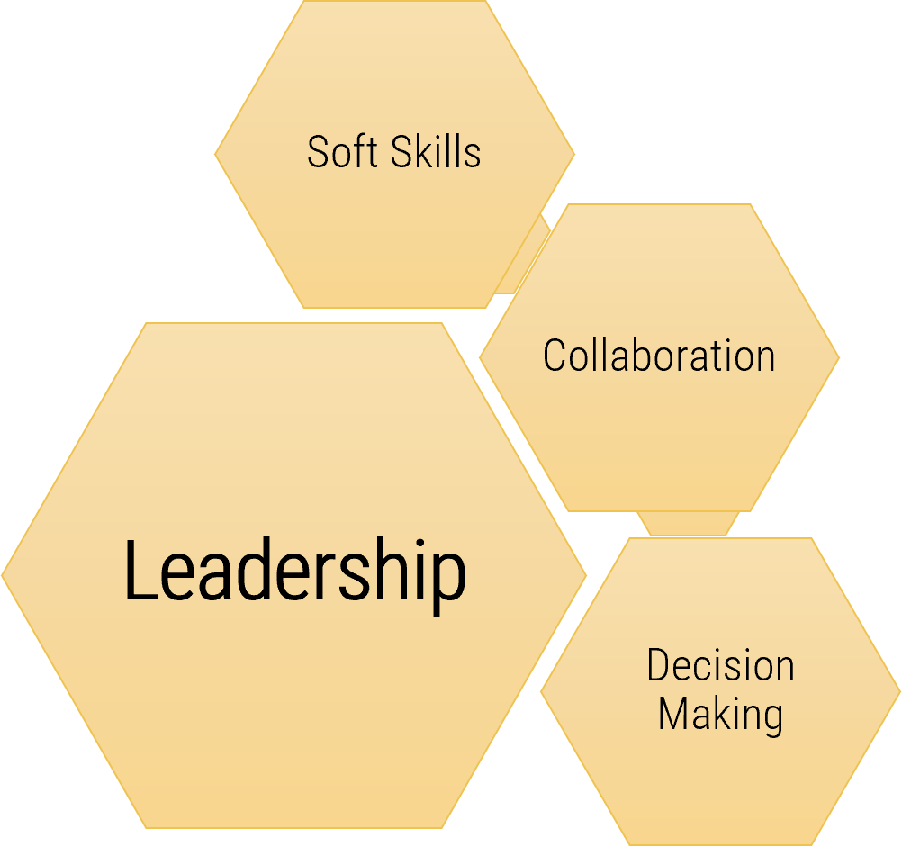 Capability 'Leadership' with sub-capabilities 'Soft Skills', 'Collaboration', and 'Decision Making'.