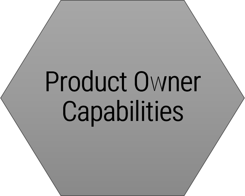 Central diagram title 'Product Owner Capabilities'.