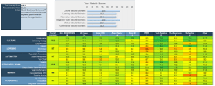 Sample of the Agile Readiness Assessment Consolidated Results blueprint deliverable.