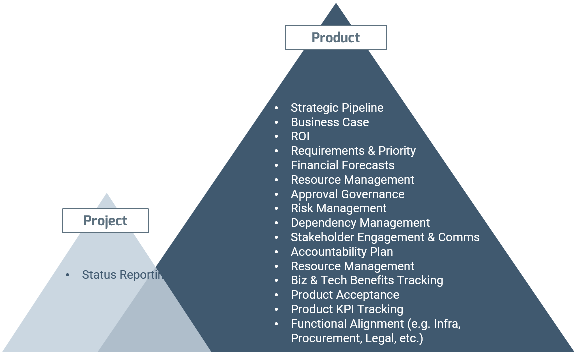 Example of a product-centric company where practices fall mainly into the 'Product category', leaving only one in 'Project'.