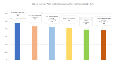 A screenshot from Common Agile Challenges Survey