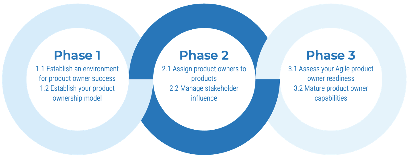 Phase 2: Assign product owners to products, Manage stakeholder influence