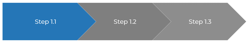 Diagram of step 1.1