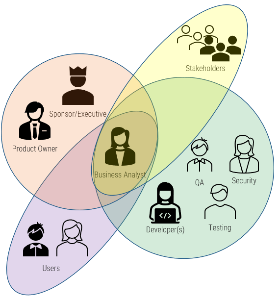 This is an image the roles who typically interact with a Business Analyst.