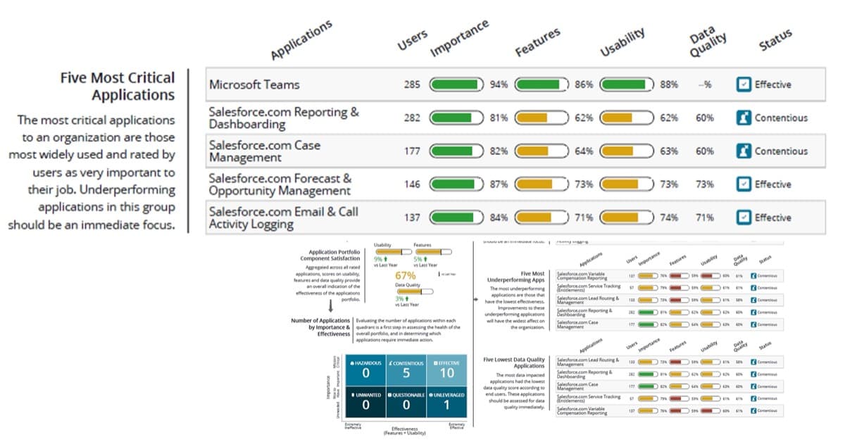 The image contains screenshots from the Application Portfolio Assessment.