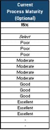 The image contains an example of the process maturity activity.