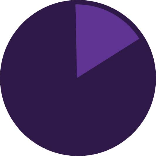 Pie graph with a 20% slice.