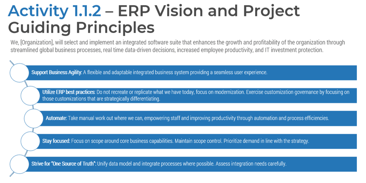 Sample of the 'ERP Strategy Report Template: Guiding Principles.