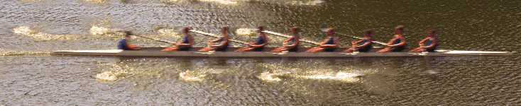 Stock image of a rowing team.