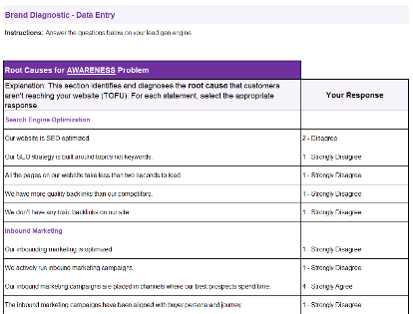 Sample of the Brand Diagnostic Tool Kit deliverable.
