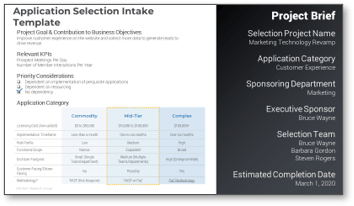 Sample of the Software Selection Workbook deliverable.