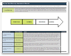 Sample of the Maturity Assessment deliverable.