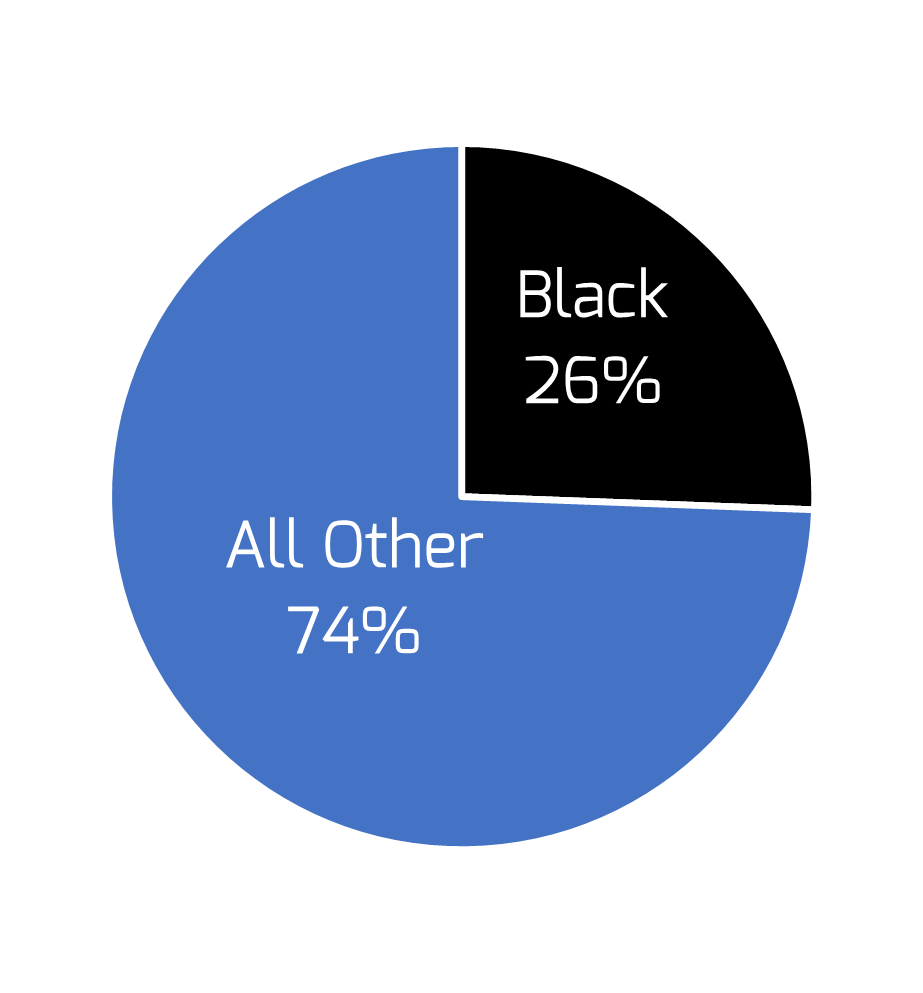 A pie chart showing 26% black and 74% All Other