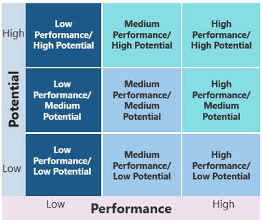 Sample of the 9-Box Job Aid, a 9-field matrix with axes 'Potential: Low to High' and 'Performance: Low to High'.