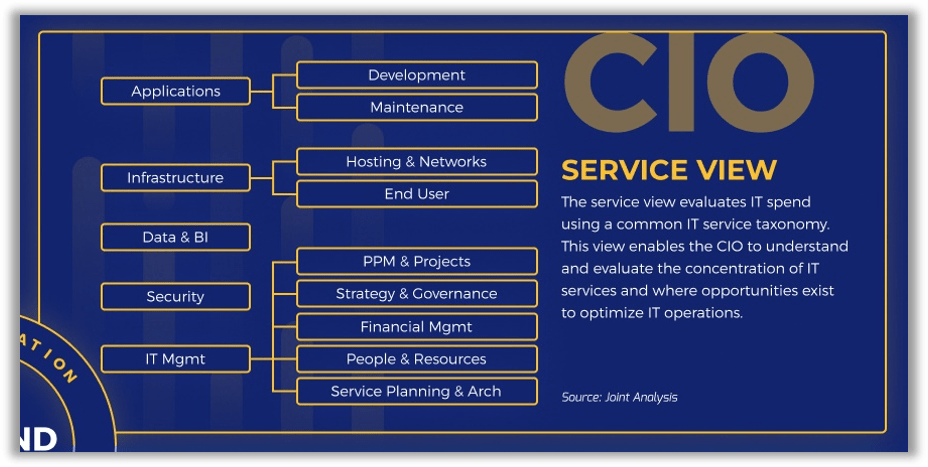 CIO Service View
