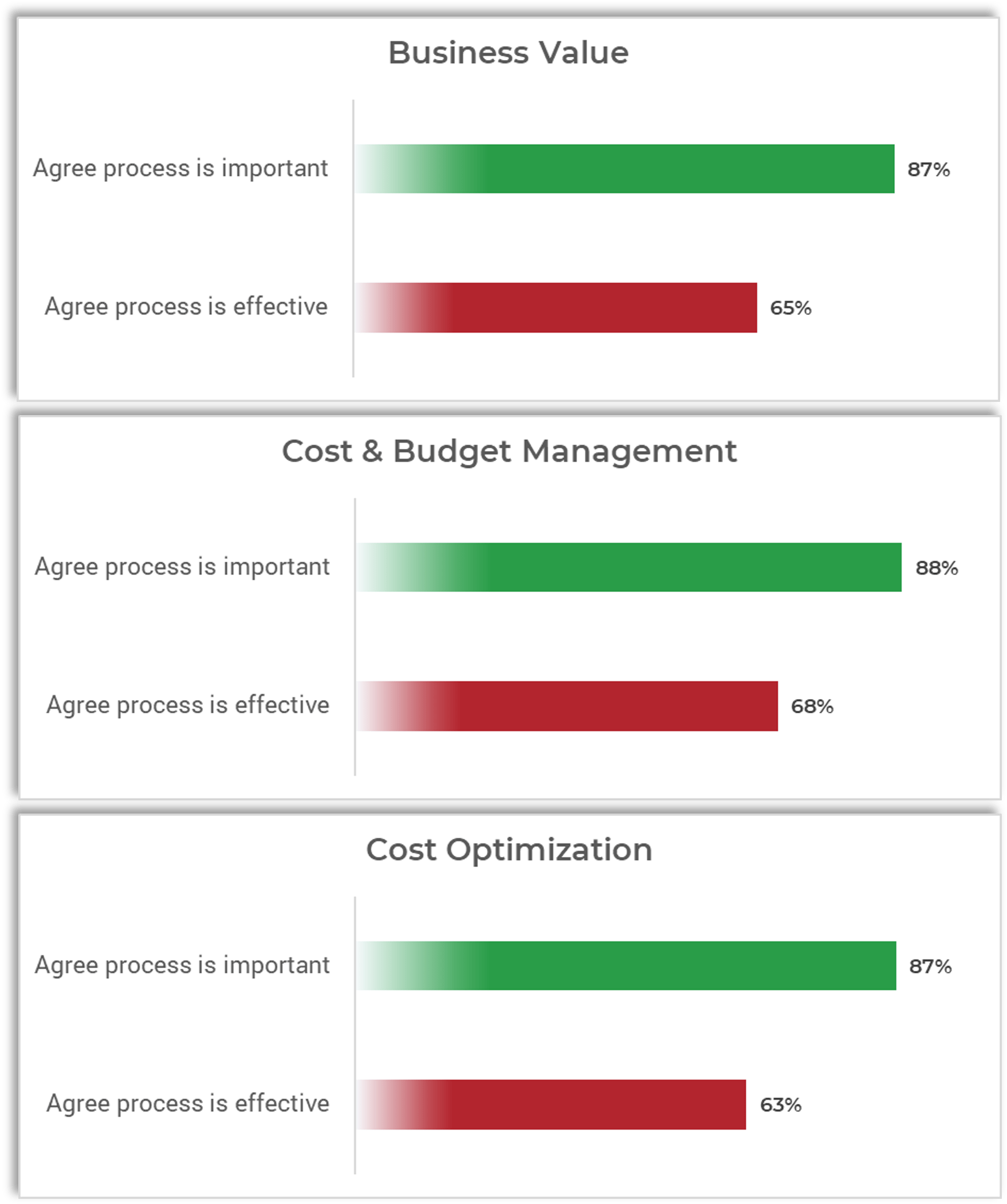 Bar charts comparing percentages of people who 'Agree process is important' and 'Agree process is effective' for three processes: Business Value, Cost & Budget Management, and Cost Optimization. In all instances, the importance outweighed the perceived effectiveness.