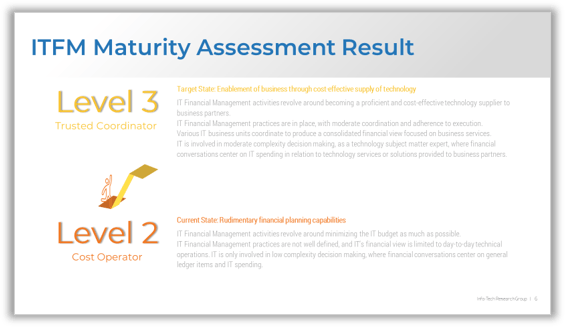 Sample of a result page from the ITFM maturity assessment.