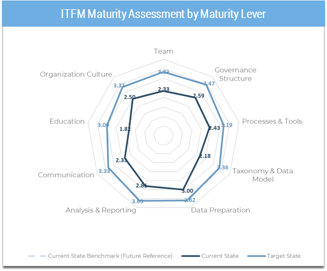 Sample of a result page from the ITFM maturity assessment with a graph.