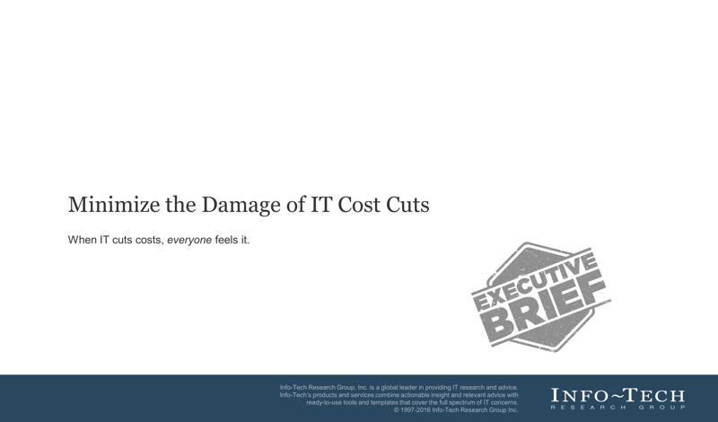 Minimize the Damage of IT Cost Cuts