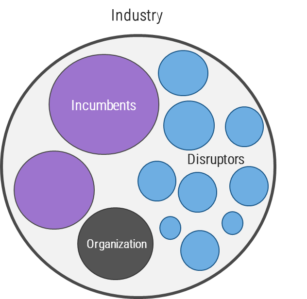 An image is shown demonstrating the relationship within an industry between incumbents, disruptors, and the organization. The incumbents are represented by two large purple circles. The disruptors are represented by 9 smaller blue circles, which represent smaller individual customer bases, but overall account for a larger portion of the industry.