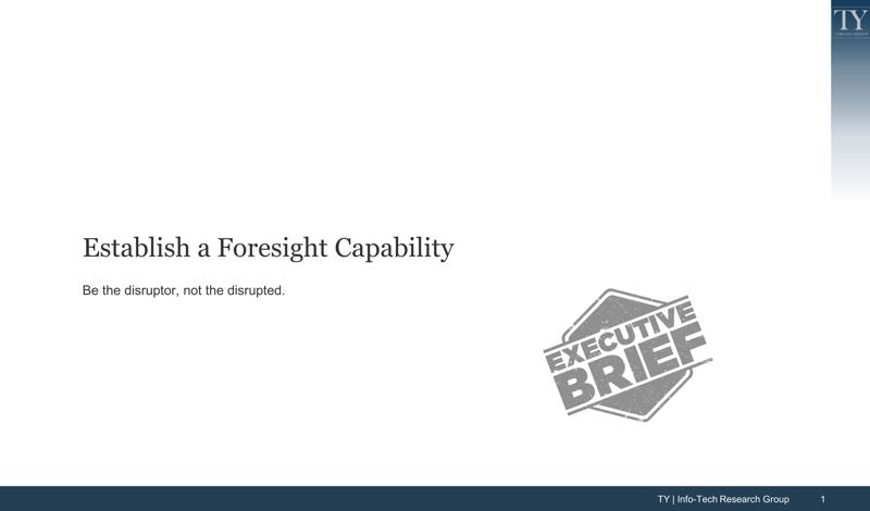 Establish a Foresight Capability