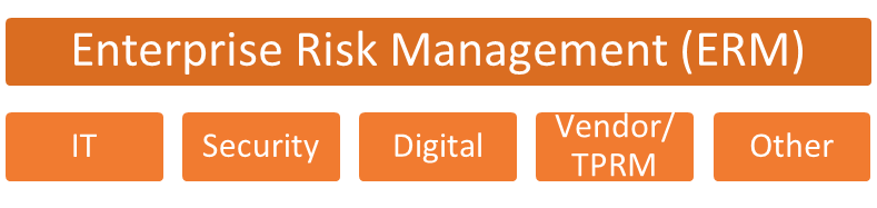 The five types of a risk in 'Enterprise Risk Management (ERM)': 'IT', 'Security', 'Digital', 'Vendor/TPRM', and 'Other'.