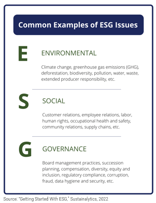 A diagram that shows common examples of ESG issues.