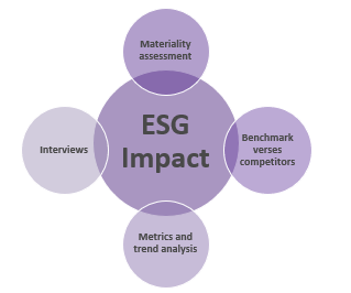 A diagram of ESG impact, including materiality assessment, interviews, benchmark verses competitors, metrics and trend analysis.