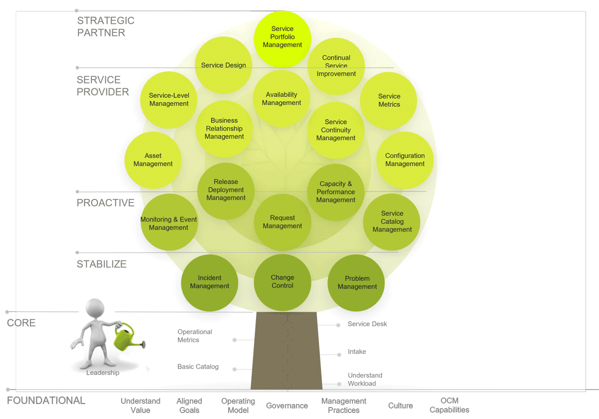 A model is depicted that shows the various target states. There are 6 levels showing in the example, and the example is made to look like a tree with a character watering it. In the roots, the level is labelled foundational. The trunk is labelled the core. The lowest hanging branches of the tree is the stabilize section. Above it is the proactive section. Nearing the top of the tree is the service provider. The canopy of the tree are labelled strategic partner.