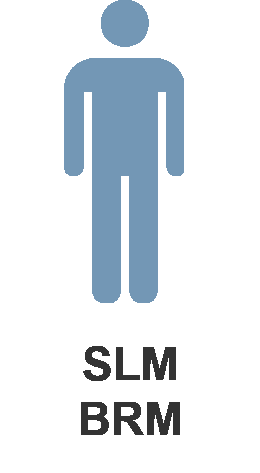 Figure representing 'SLM' and/or 'BRM'.
