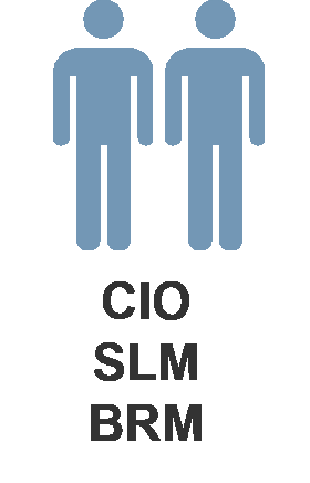 Figures representing 'CIO', 'SLM', and/or 'BRM'.