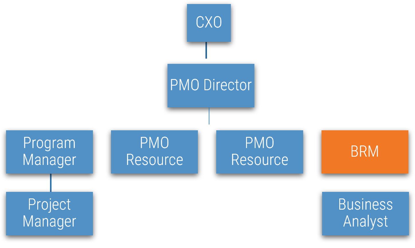 Organization tree with a BRM in a product-aligned organization.
