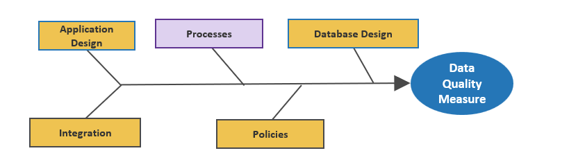 The image shows a fishbone diagram, with the following sections, from left to right: Application Design; Integration; Processes; Policies; Database Design; Data Quality Measure. The Processes section is highlighted