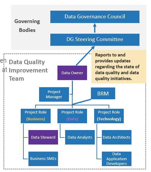 The image is a flow chart showing project roles, in two sections: the top section is labelled Governing Bodies, and the lower section is labelled Data Quality Improvement Team. There is a note indicating that the Data Owner reports to and provides updates regarding the state of data quality and data quality initiatives.
