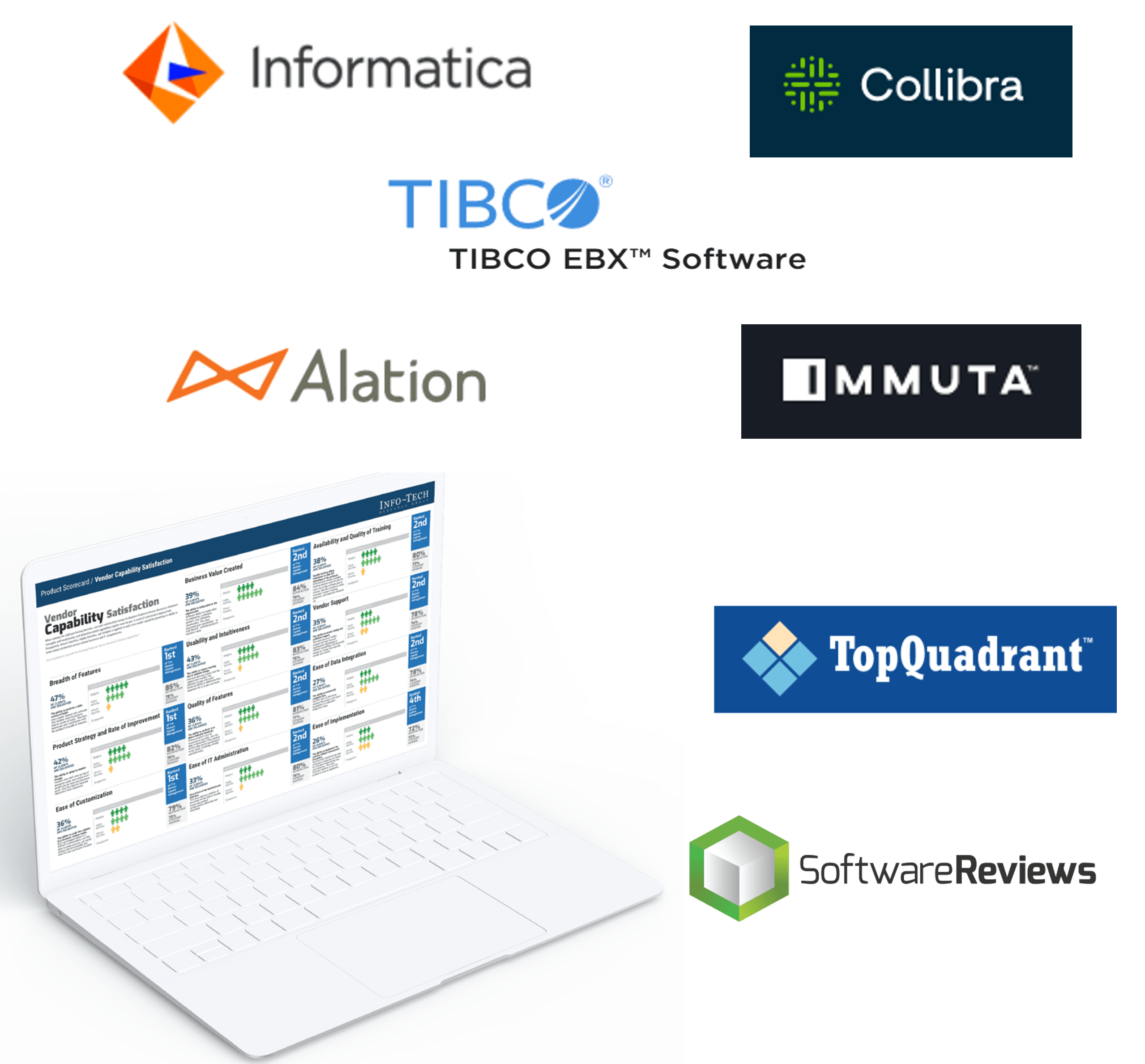 Array of logos of tech companies whose products are used for this type of work: Informatica, Collibra, Tibco, Alation, Immuta, TopQuadrant, and SoftwareReviews.