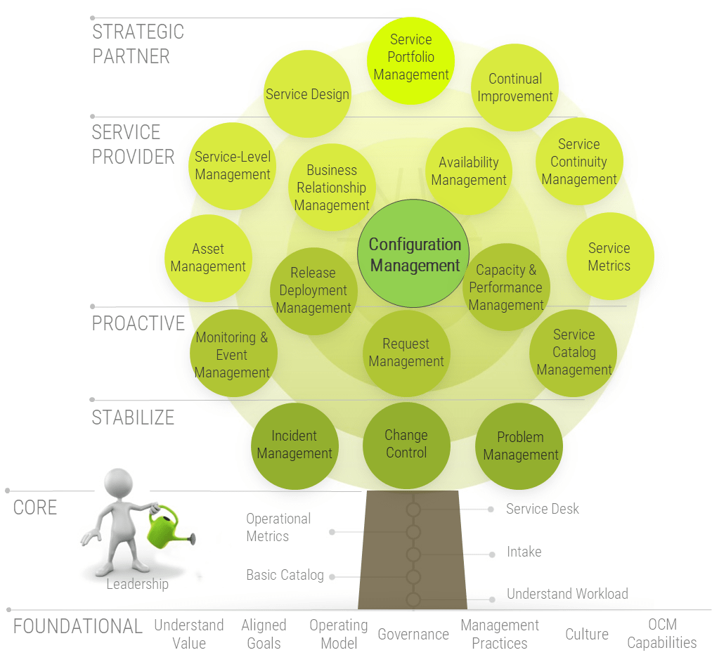 An image of Info-Tech's CMDB Configuration Management tree, breaking down aspects into the following six categories: Strategic Partner; Service Provider; Proactive; Stabilize; Core; and Foundational.