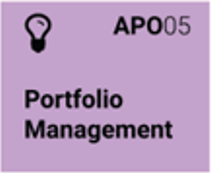 Icon for process 'APO05 Portfolio Management'.