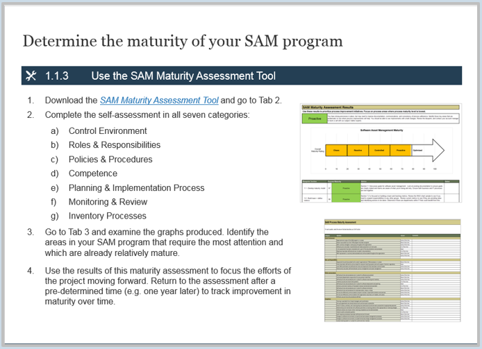 Sample of activity 1.1.3 'Determine the maturity of your SAM program'.