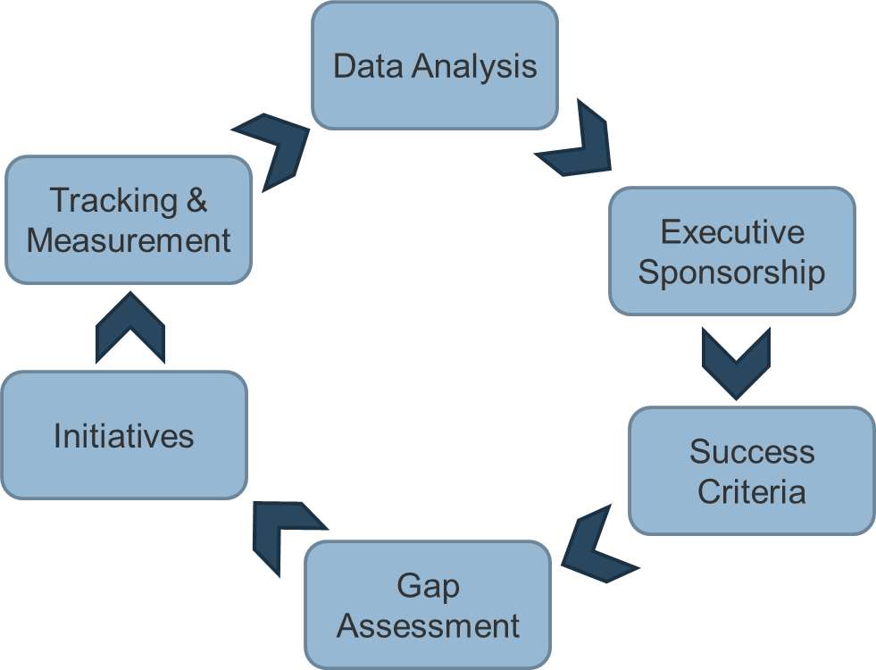 This image depicts a cycle, which includes: Data analysis; Executive Sponsorship; Success Criteria; Gap Assessment; Initiatives; Tracking & Measurement