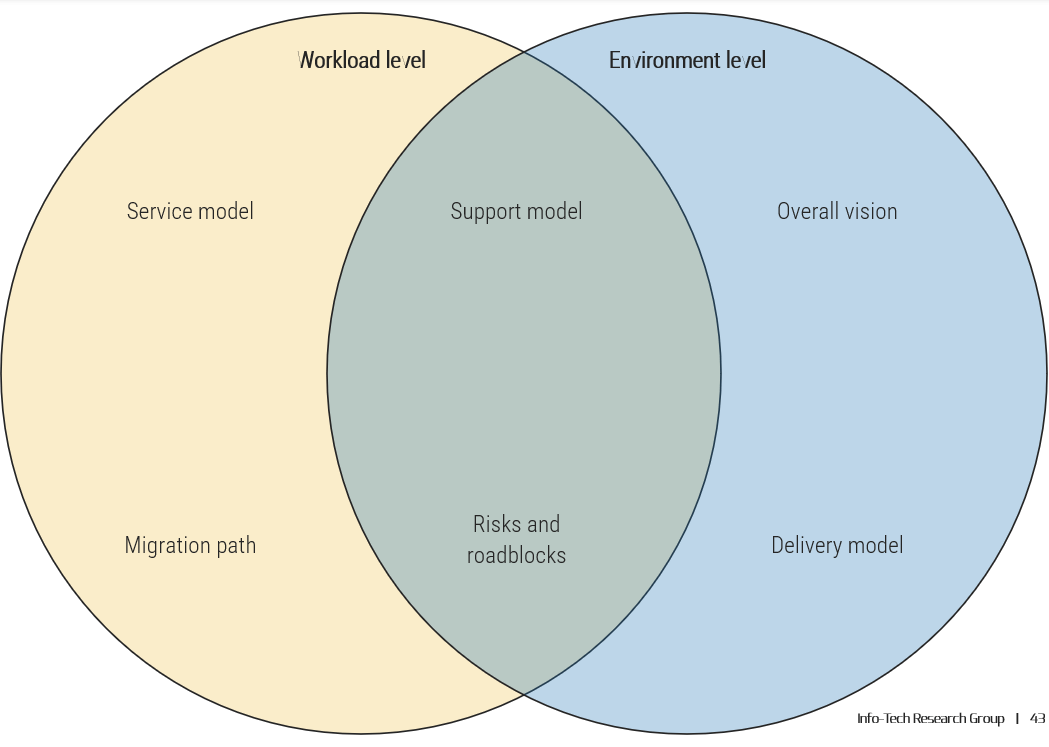 The image is a Venn diagram, with the left side titled Workload level, and the right side titled Environment Level. In the left section are: service model and migration path. On the right section are: Overall vision and Delivery model. In the centre section are: support model and Risks and roadblocks.