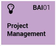 Icon for process 'BAI01 Project Management'.