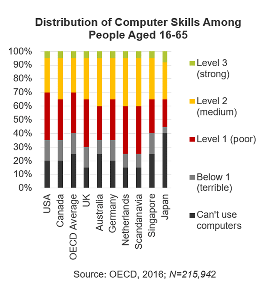 Image is of a graph showing the ability of computer skills from age 16-65 among various countries.
