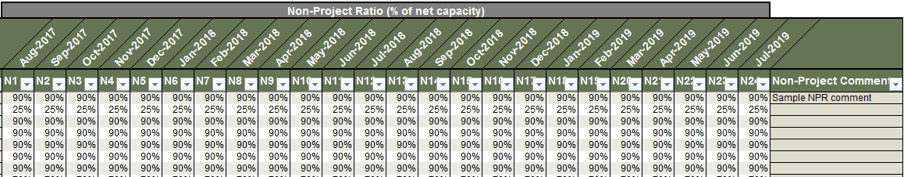 The image shows the Non-Project Ratio section, with sample information filled in.