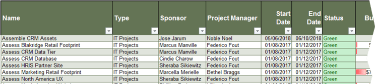 The image shows the section for filling in project names and basic information in the Projects tab. The image shows the table with sample information.