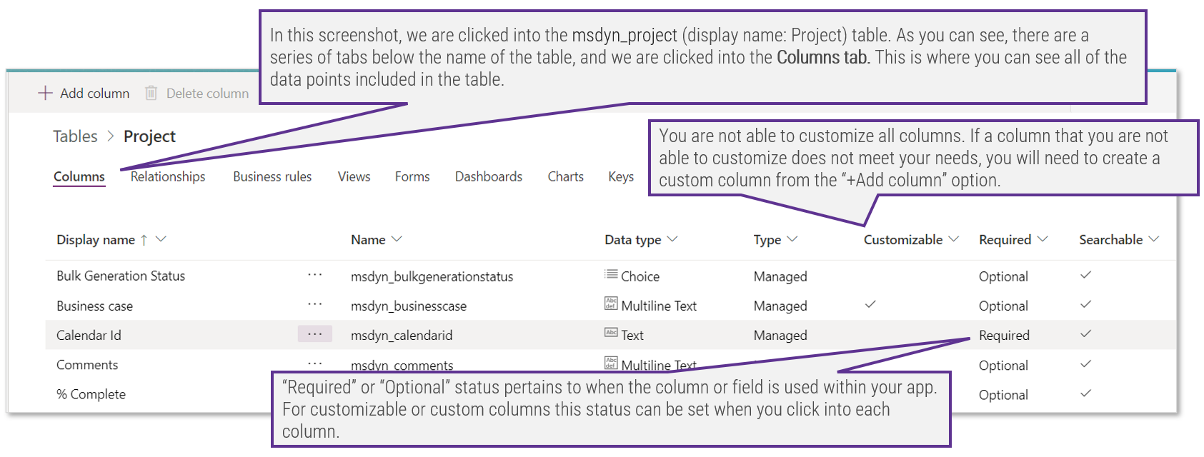 Screenshot of the 'Columns' tab, open in the 'msdyn_project table' in 'Power Apps'.