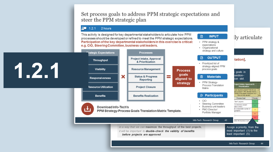 Sample of activity 1.2.1 'Set realistic PPM process goals'.