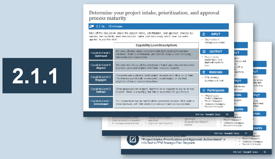 Sample of activity 2.1.1 'Align your project intake, prioritization, and approval process to the PPM strategy'.