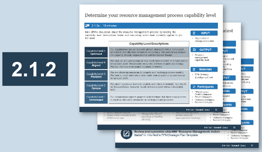 Sample of activity 2.1.2 'Align your resource management process to the PPM strategy'.
