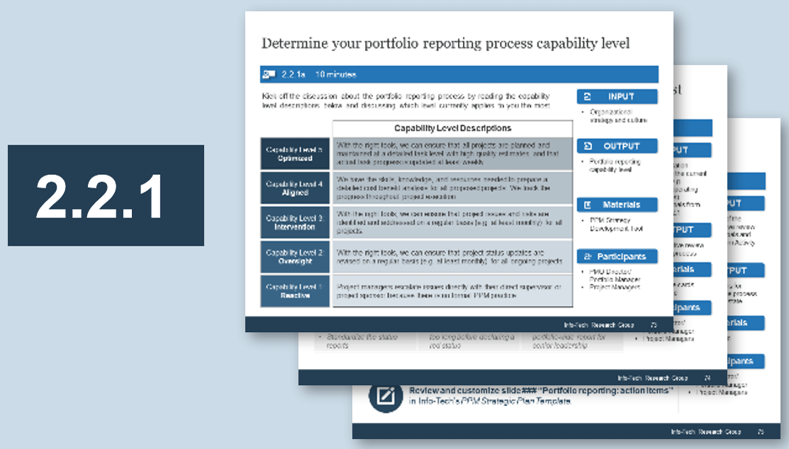 Sample of activity 2.2.1 'Align your portfolio reporting process to the PPM strategy'.