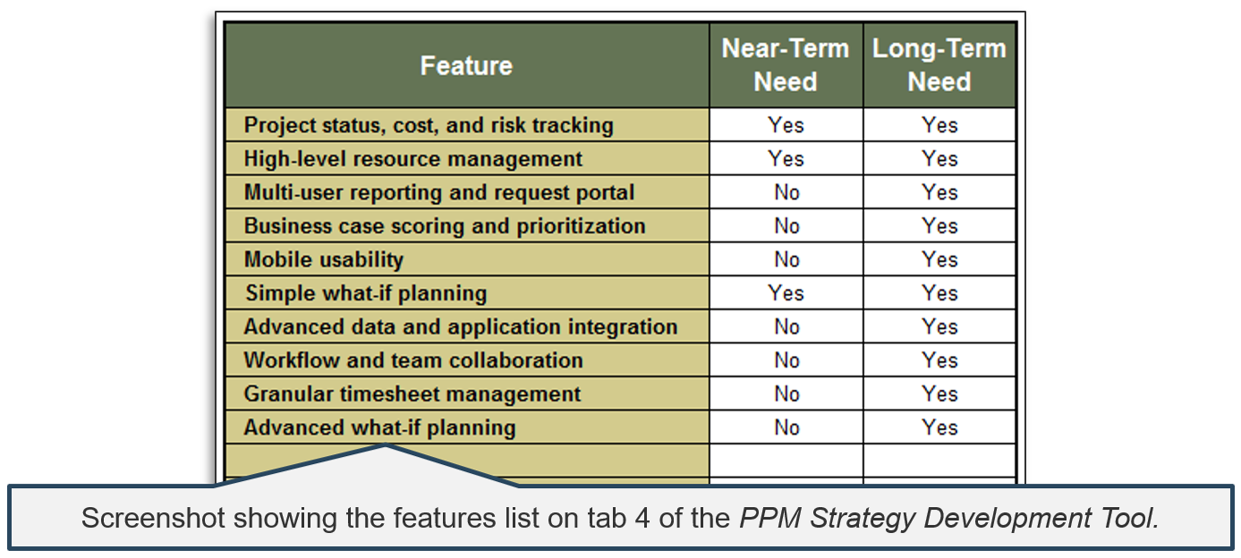 Screenshot showing the features list on tab 4 of the PPM Strategy Development Tool.